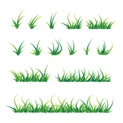 set of realistic green grass illustration