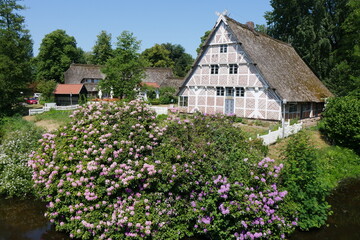 Fototapeta na wymiar Bauernhaus und Rhododendron im Freilichtmuseum Stade