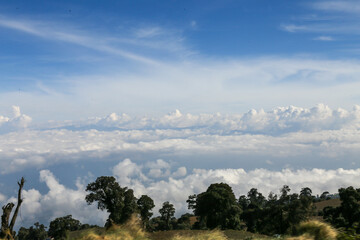 High angle view of the Costarican valley with clouds from the top of the mountain with trees.
