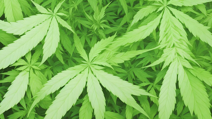 緑の大麻の葉、医療大麻、マリファナ｜green cannabis leaf, medical cannabis, marijuana, Generative AI