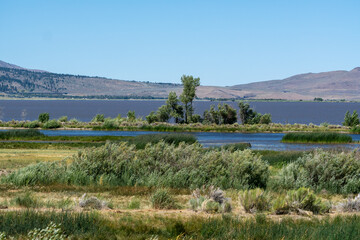Beautiful Washoe Lake landscape in summer. Washoe Lake is located between Reno and Carson City Nevada.