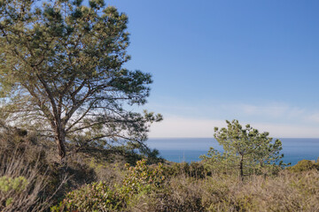Scenic view over Torrey Pines State Natural Reserve San Diego California