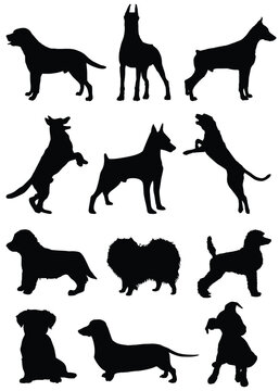 Dog puppy pets silhouette collection