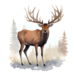 Elk in cartoon style. Cute Little Cartoon Elk isolated on white background. Watercolor drawing, hand-drawn Elk in watercolor. For children's books, for cards, Children's illustration.