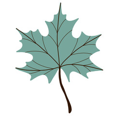 Leaf