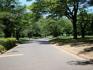 代々木公園の風景