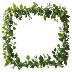 Fototapeta premium leafy garlands as a frame border, isolated with white copy space Generative AI