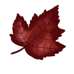 Obraz premium Autumn leaves