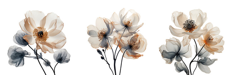 X ray effect flowers. Generative Ai