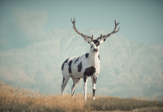Deer with a cow skin in nature.