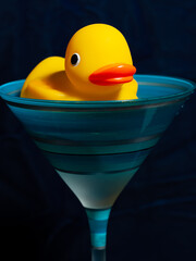 Ducky Photoshoot