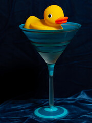 Ducky Photoshoot