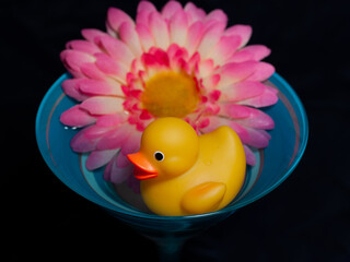 Ducky Photoshoot