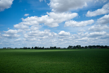 green field and blue sky