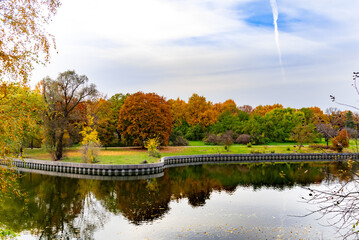 Autumn trees are reflected in the park pond