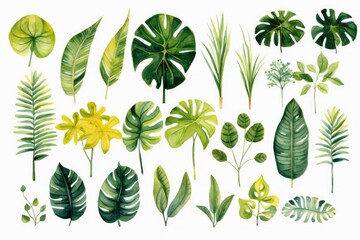 Rainforest clip art watercolor illustration
