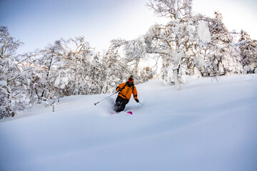 Backcountry powder skiing in Japan