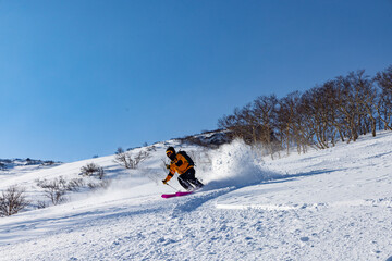 Backcountry powder skiing in Japan