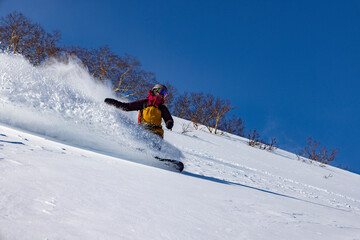 Fototapeta na wymiar Backcountry powder skiing in Japan