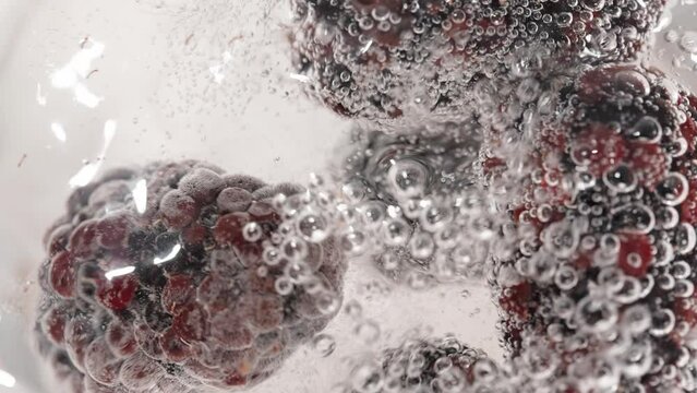 The blackberries fall into the water with bubbles, seen from a top view, in slow motion.