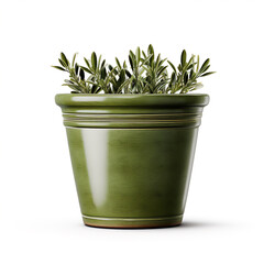 Green plant pot for gardening on white background