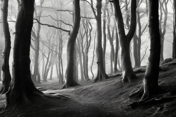 Obraz premium tree in the forest