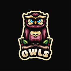 Owls Mascot Logo Design