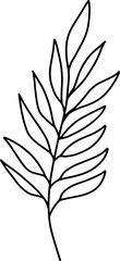 Fototapeta premium Doodle leaves. Greenery element doodle coloring page illustration