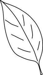 Doodle leaves. Greenery element doodle coloring page illustration
