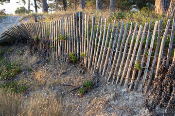 Sand fence to avoid erosion in Calvi Corsica at the mediterranean sea