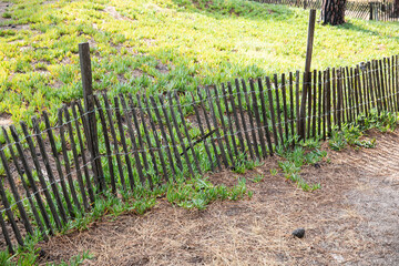 Sand fence to avoid erosion in Calvi Corsica at the mediterranean sea