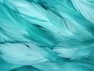 Fototapeta na wymiar Teal Feathers Background, Clean soft Illustration