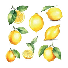 Lemon set watercolor, great design for any purposes.