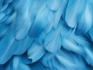 Blue Feathers Background, Clean soft Illustration