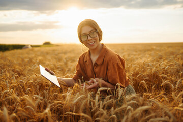 Young female farmer in her hands with a digital tablet in a wheat field checks the quality and growth of the crop on sunset light. Smart farm. Harvesting. Agricultural concept