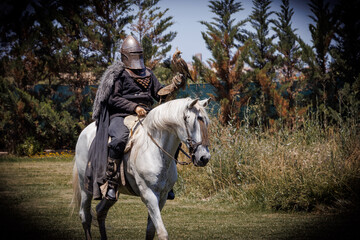 Medieval warrior on horseback with a falcon