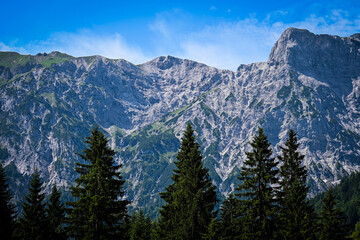 A view of the several mountains in the Austria alps with tall evergreens in the foreground