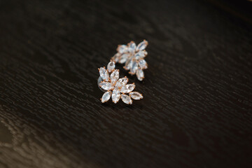 Bride's earrings. Set bride's accessories. Soft focus.