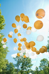 Fototapeta na wymiar Balloons flying away in blue sky. Soft focus.
