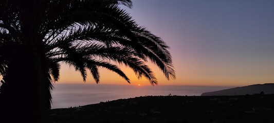 Sonnenuntergang und Palme auf La Palma