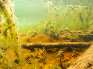 Lake botton with colourful iron and algae sediment