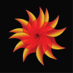 flower isolated on black