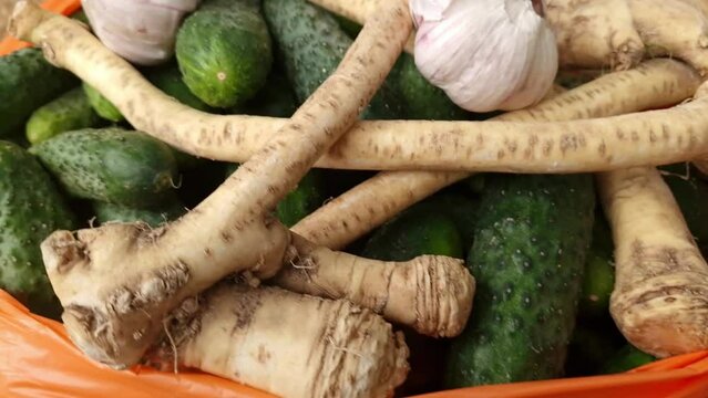 Fresh cucumbers, horseradish and garlic from local market ready for pickling