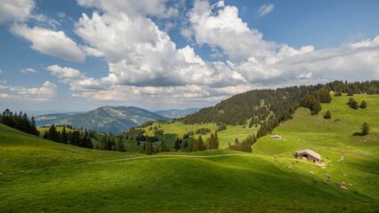 Fototapeta na wymiar Rigi Scheidegg - ein Berggipfel des Rigi-Massivs am Vierwaldstättersee in der Schweiz