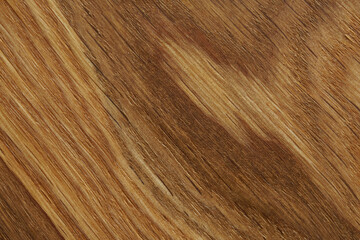 Naklejka premium A cut of a natural oak board. Natural rustic background or backdrop. Macro. Photo