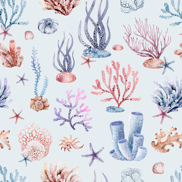 Marine seamless pattern marine animals, corals, plants, seashell, starfish, octopus, seahorse, algae, turtle. Watercolor marine background.