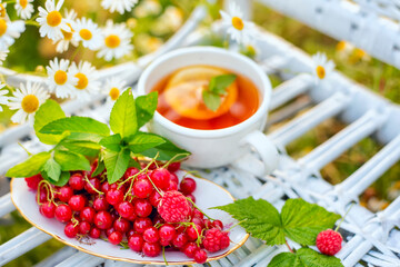 red berries of red currant and raspberry and a cup of tea on a wicker white chair among a field with daisies on a summer evening. Summer mood.  The concept of summer outdoor recreation, relaxation 