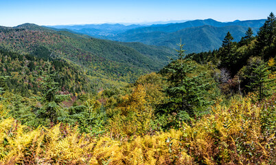 Obraz premium Autumn in the Appalachian Mountains Viewed Along the Blue Ridge Parkway