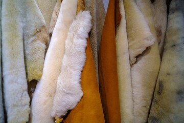 White and brown wool texture background. Natural fluffy fur sheep wool skin texture. Real sheep's...