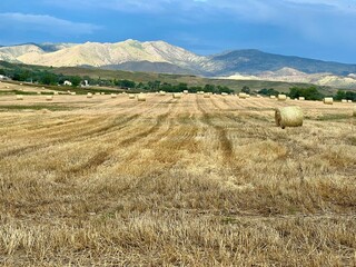 Field of hay bales with mountains and blue sky
